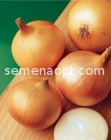 Chalcedony onions: description