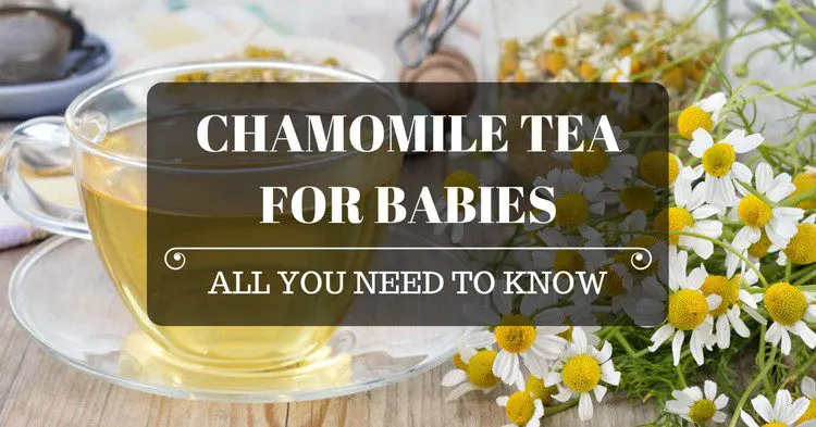 Chamomile infusion for babies: how to cook?