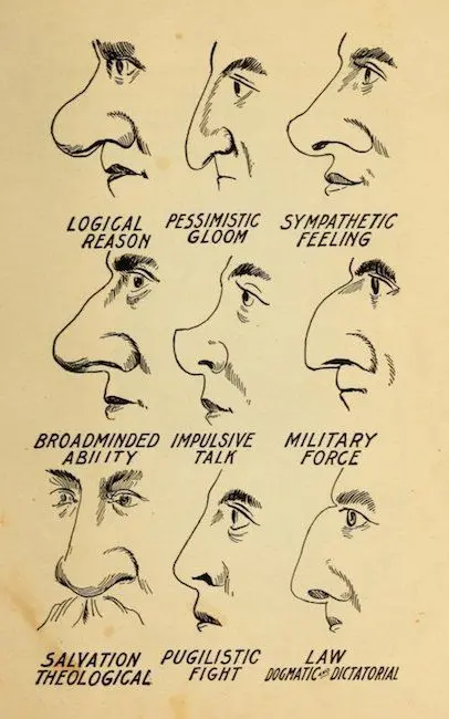 Character on the nose: physiognomy in pictures