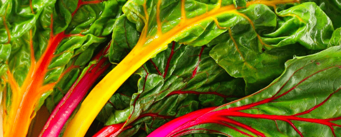 Chard: useful properties, cooking chard beets