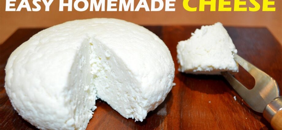 Cheese: how to make cheese at home? Video