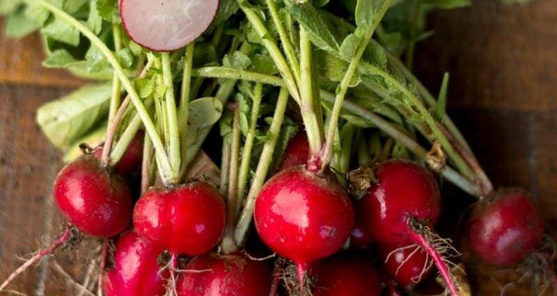 Cherry radish: description