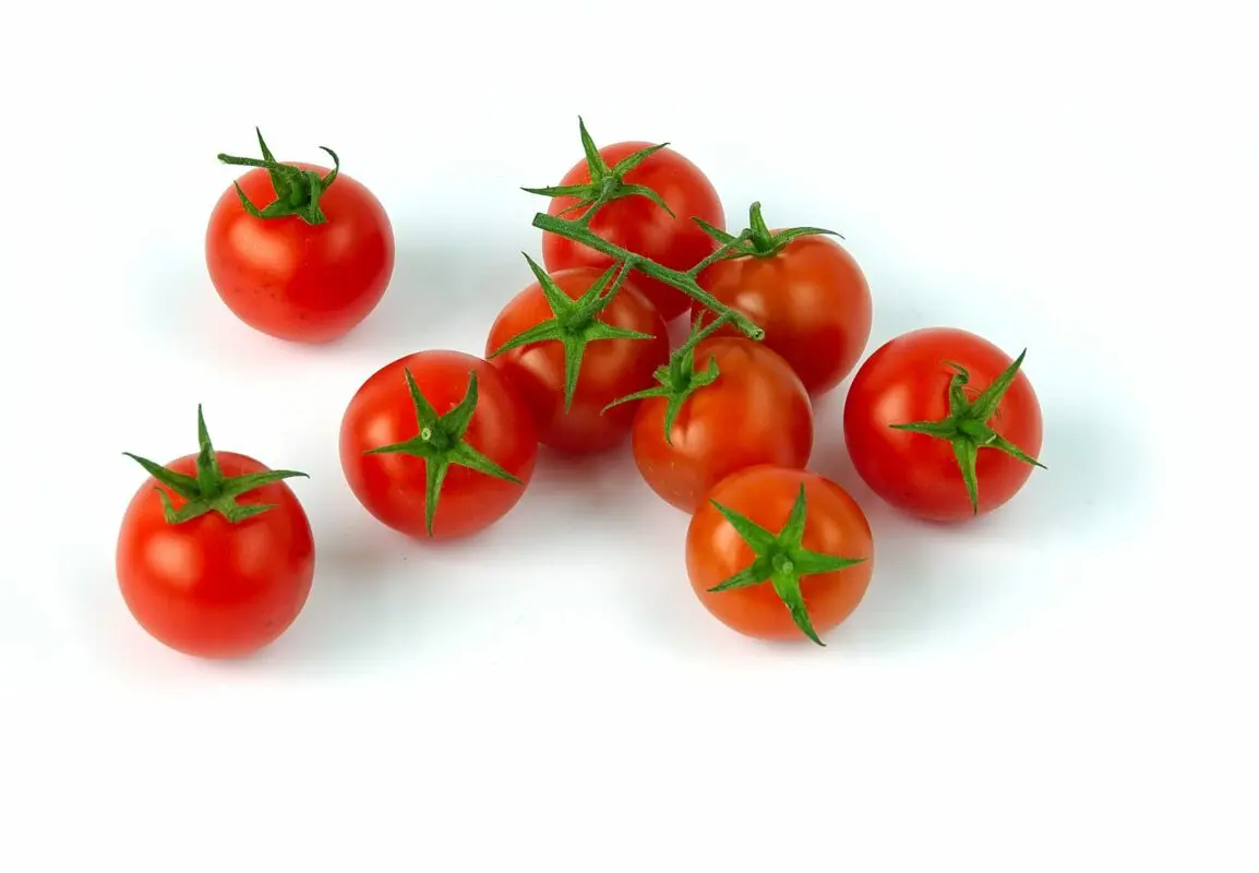 Cherry tomatoes: description