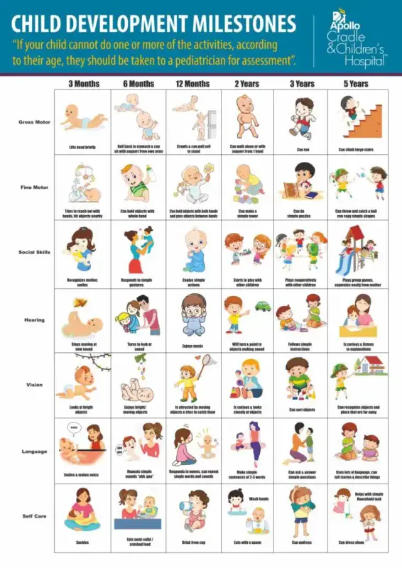 Child development from one to two years: calendar