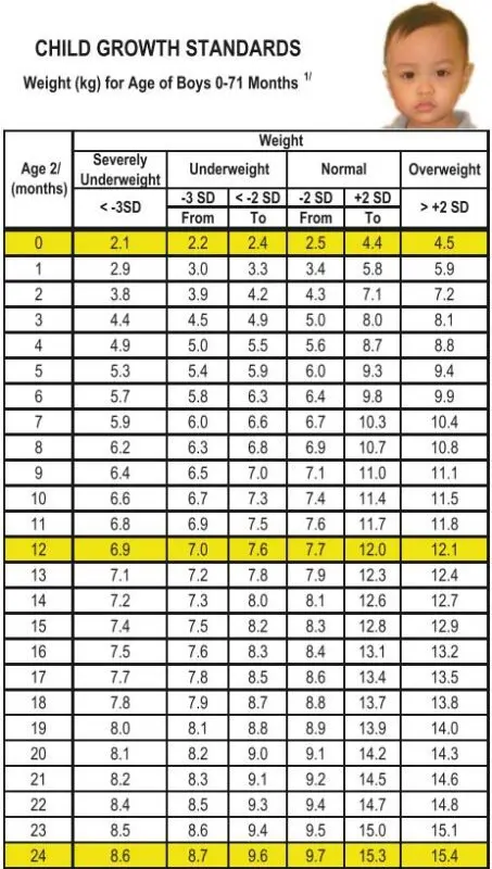 Child&#8217;s weight by month: table for boys, WHO recommendations