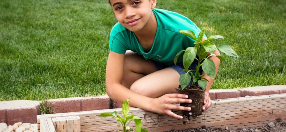 Children&#8217;s garden: what and how to plant with the child