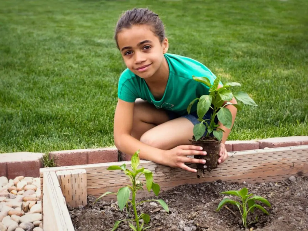 Children&#8217;s garden: what and how to plant with the child