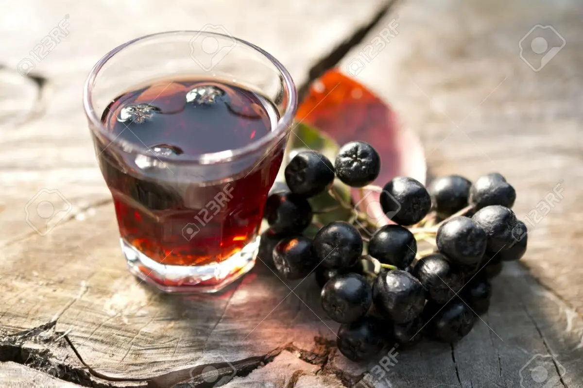 Chokeberry tincture. Video