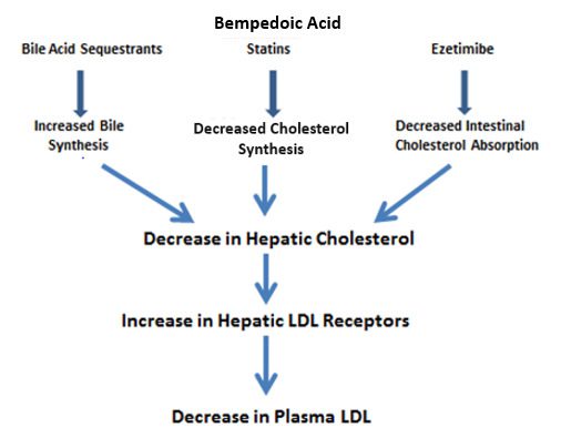 Cholesterol-lowering drugs: return to the controversy