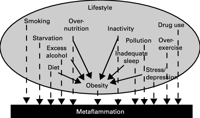 Chronic diseases: the role of the environment