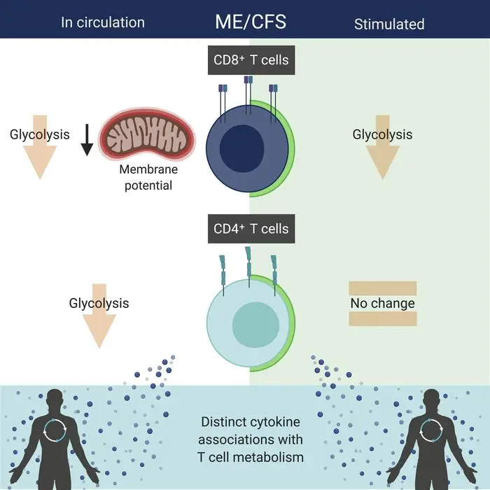 Chronic fatigue syndrome (Myalgic encephalomyelitis)