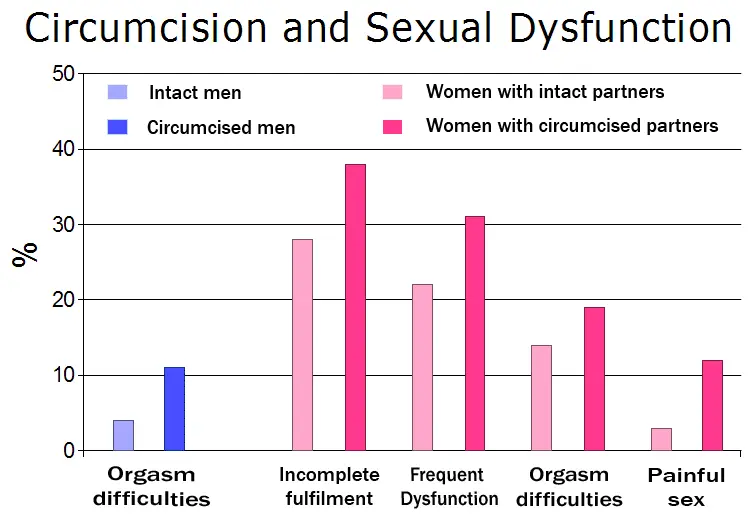 Circumcision: circumcised sex in sexuality