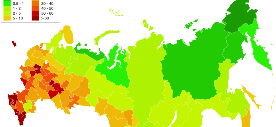 Cities in Russia where cats are most loved