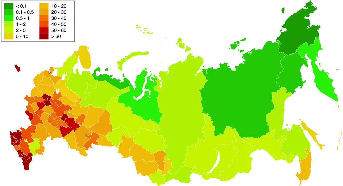 Cities in Russia where cats are most loved