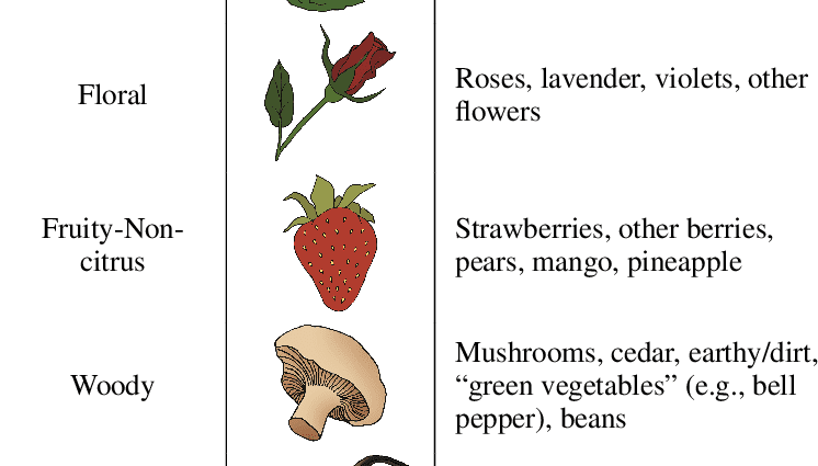 Classification of ten basic odors