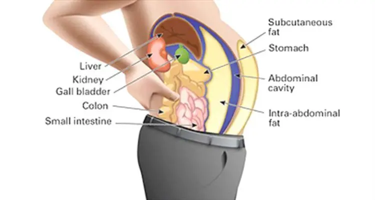 cleansing the body of toxins