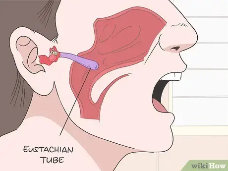 Clogged ear after a cold (what to do)