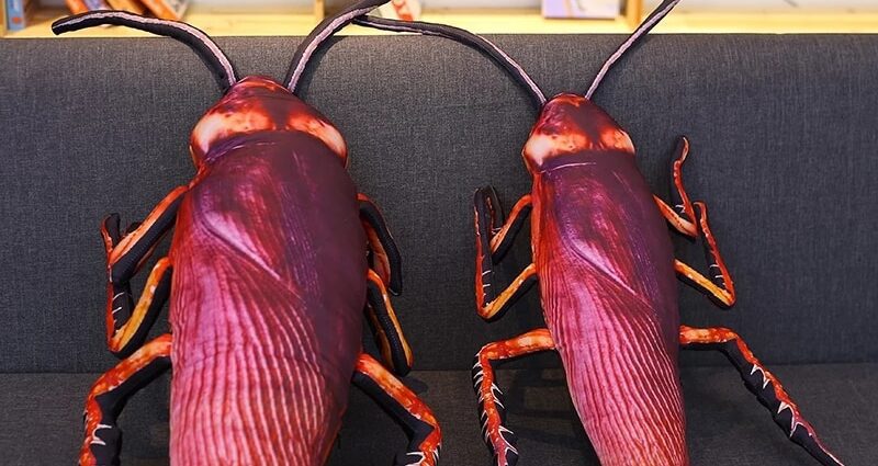 Kakkerlak, boomstam, baksteen: 20 grappige kussens van AliExpress