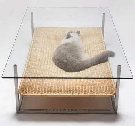Coffee glass table for your cat