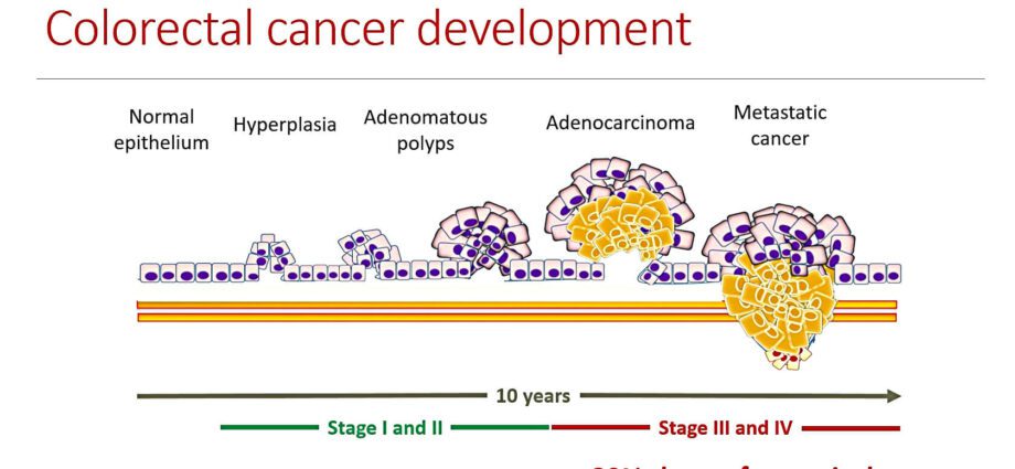 Immunoassay voor colorectale kanker