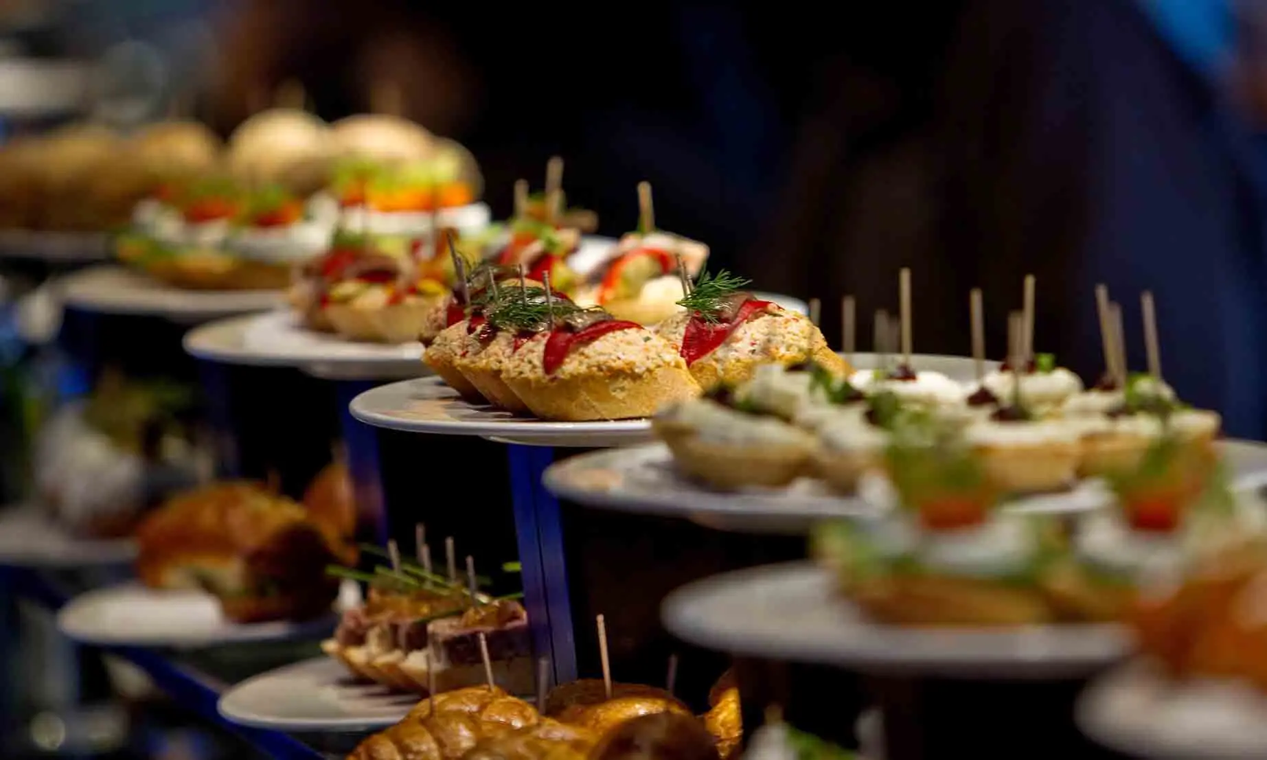 Coming of Age for the Pintxos of Navarra