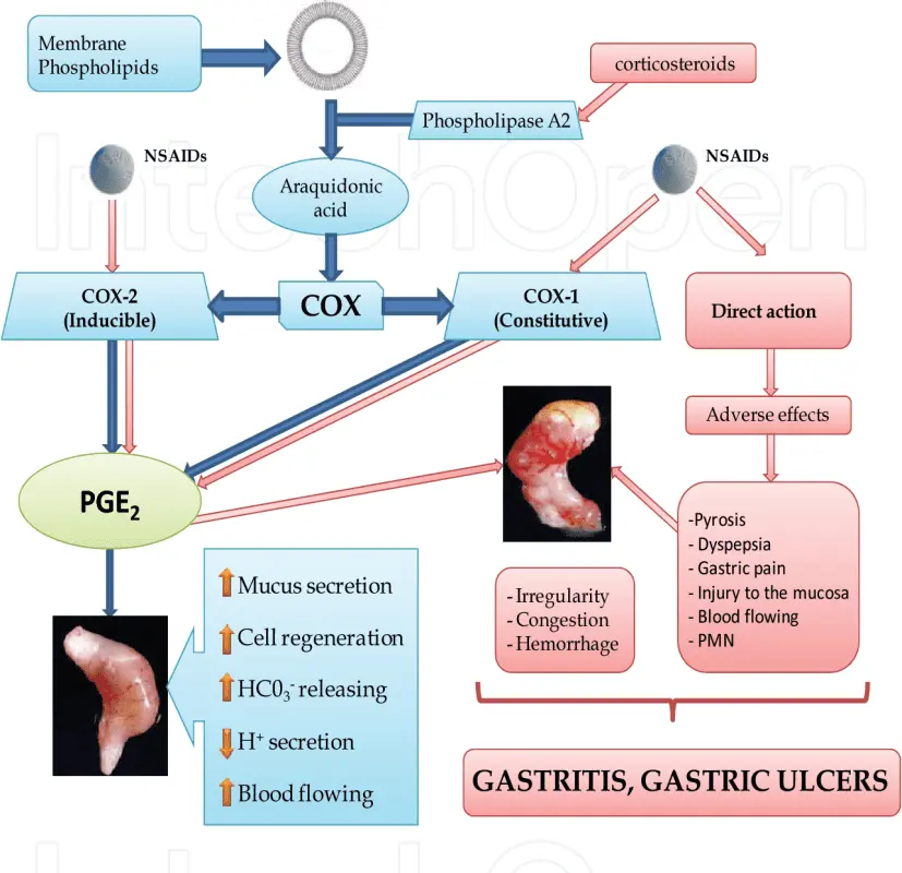 Complementary approaches to gastritis