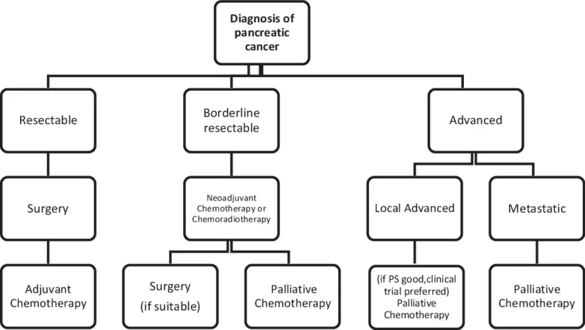 Complementary treatments and approaches for pancreatic cancer