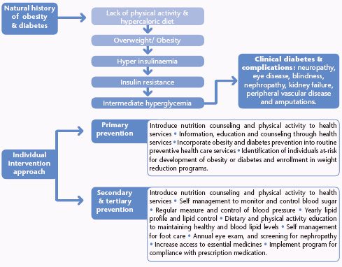 Complications of Diabetes &#8211; Complementary Approaches