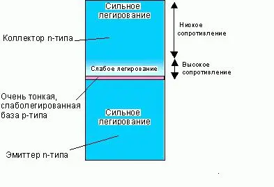 Composer Igor Sarukhanov showed &#8220;Antenna&#8221; his country house