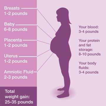 Control your weight during pregnancy