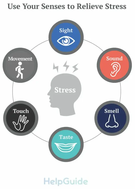 Coping with Brain Frying Emotions in the &#8220;New Normal&#8221;