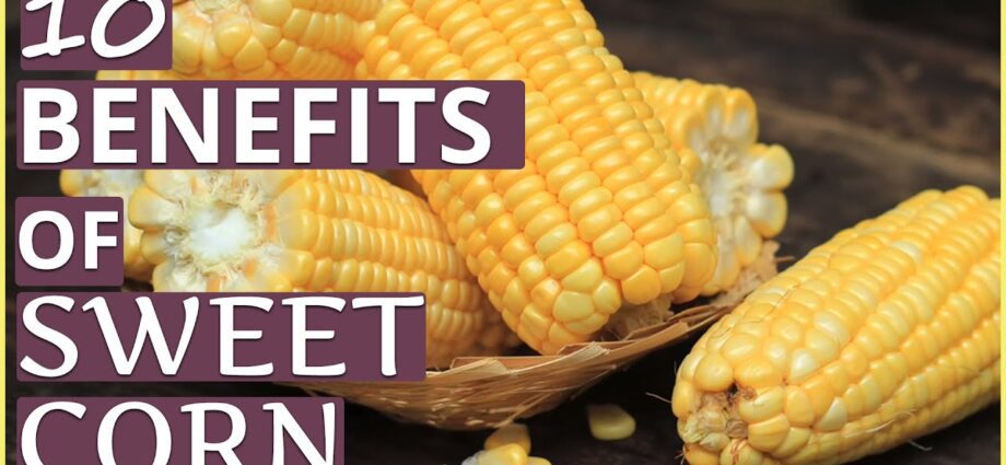 Corn: medicinal properties. Video