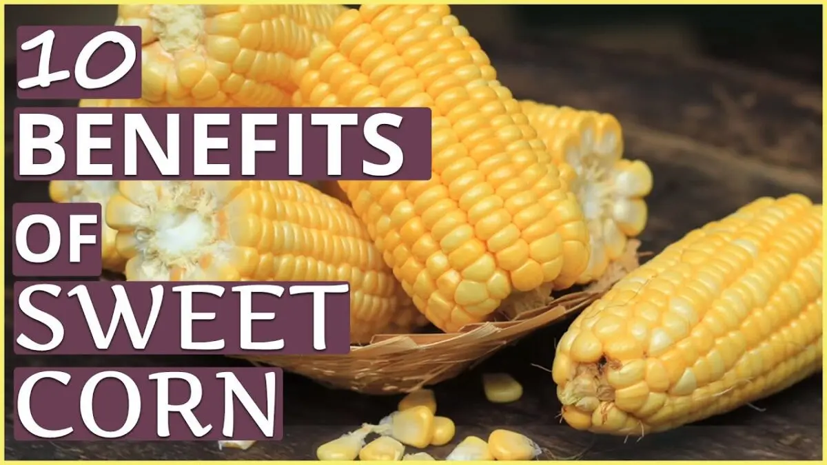 Corn: medicinal properties. Video