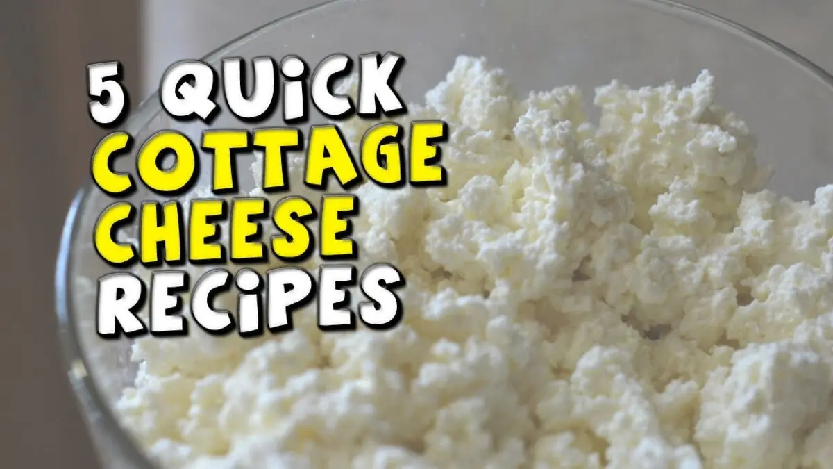 Cottage cheese main courses: what to cook for lunch? Video