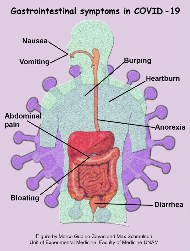 Covid-19 and gastroenteritis: what are the differences?