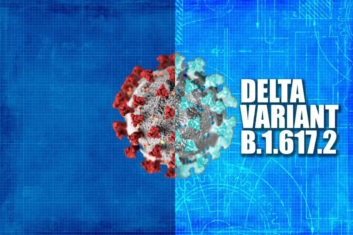 Covid-19: the Delta variant is as contagious as chickenpox