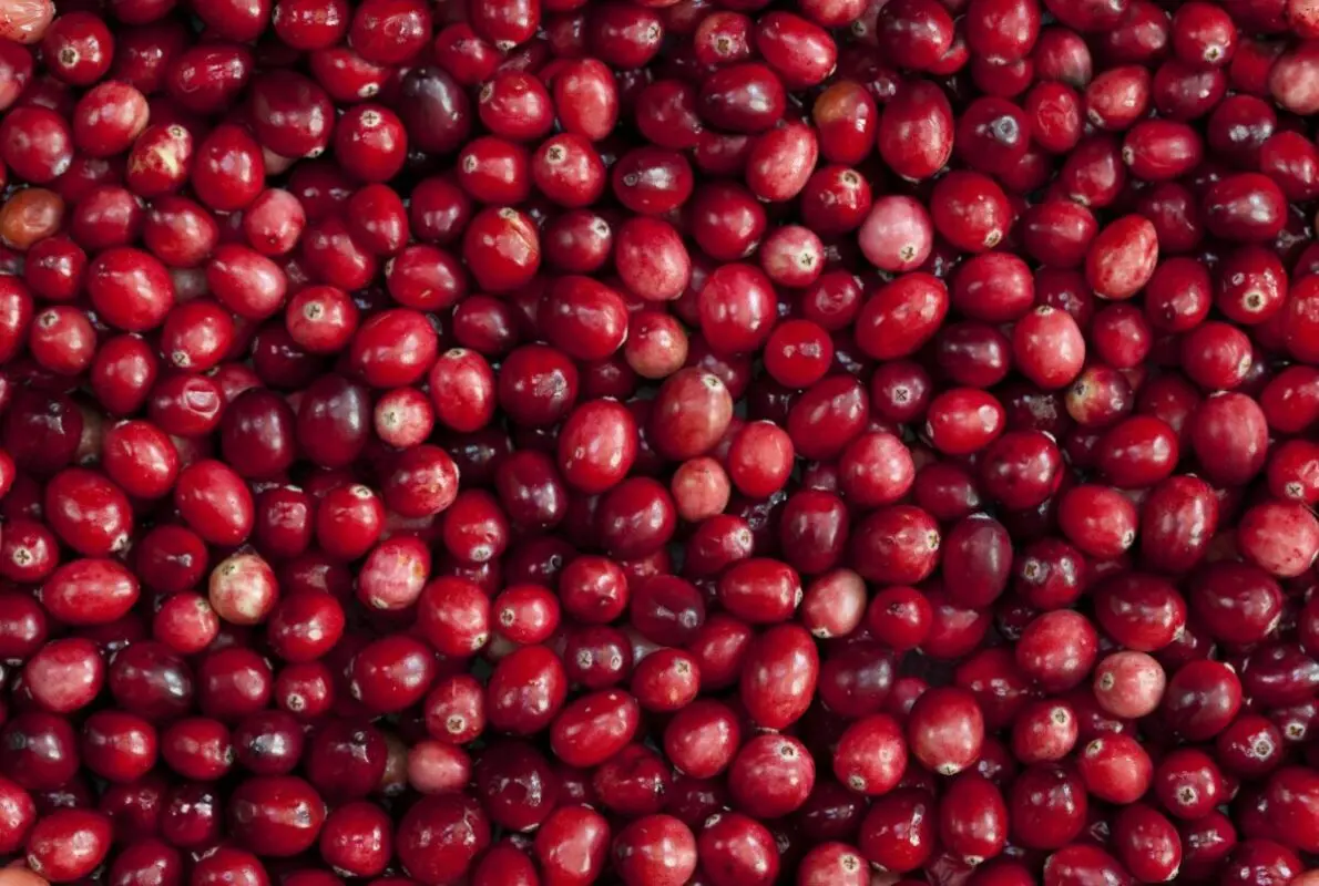 Cranberries for colds