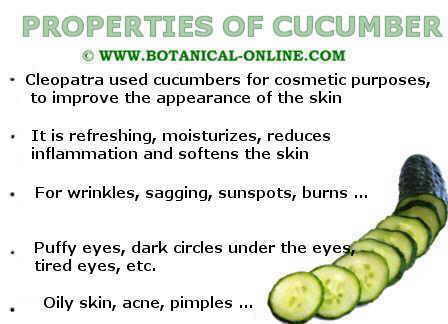 Cucumber: useful and medicinal properties. Video