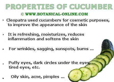 Cucumber: useful and medicinal properties. Video