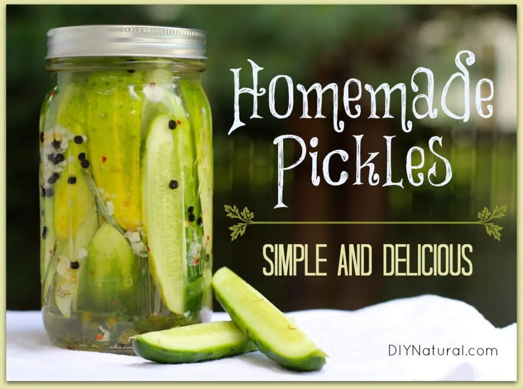 Cucumbers in a barrel: how to pickle yourself. Video