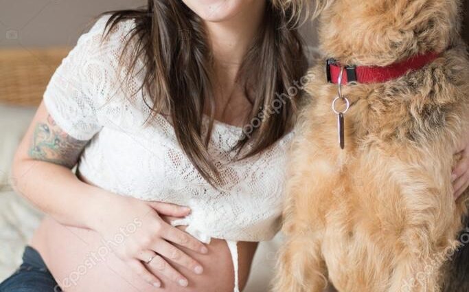 Jolie photo de femmes enceintes avec des animaux