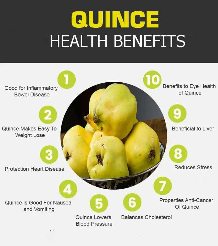 Cydonia: beneficial properties