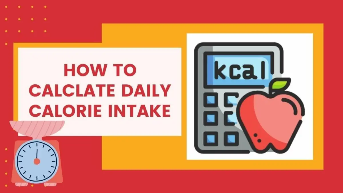 Daily calorie intake. Video