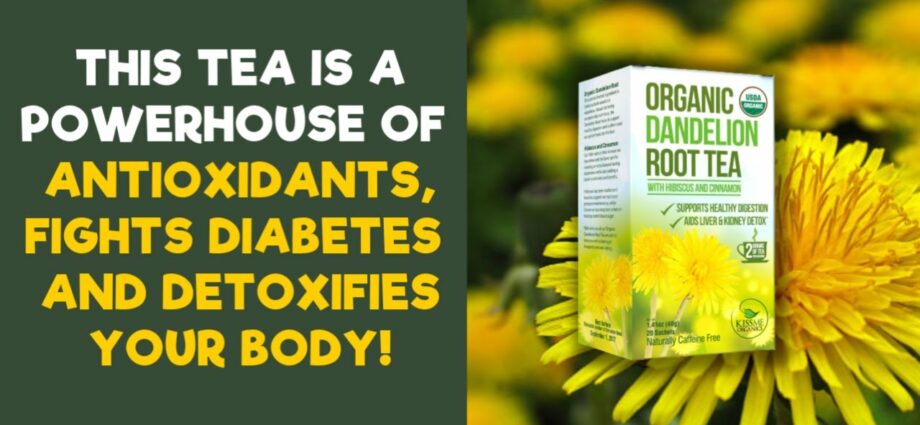 Dandelion root: beneficial and healing properties. Video