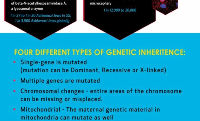 Dangerous diseases that are inherited