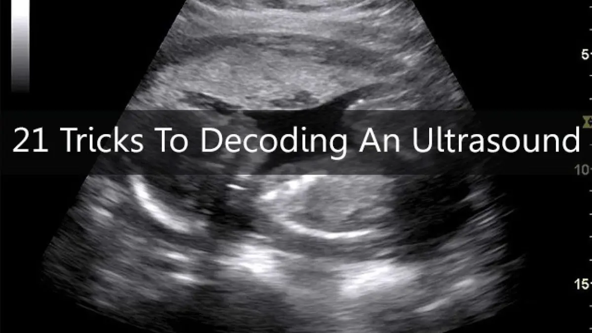 Decipher and better understand your ultrasound