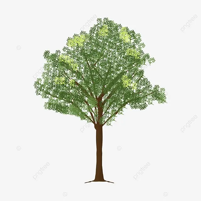 Decorative leafy elm