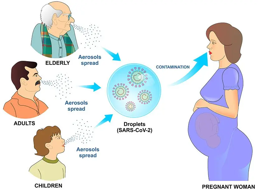 Decreased immunity during pregnancy