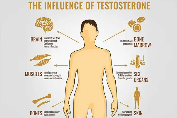 Decreased libido in men: how to boost their libido?