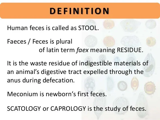 Definition of parasitological examination of stool